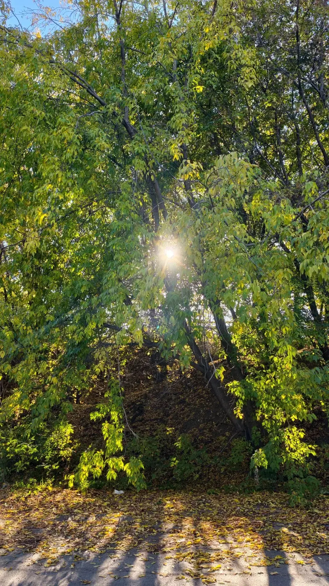 Доброе утро! ☀️