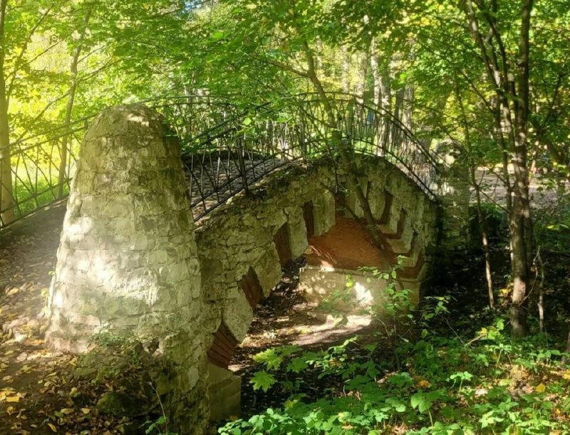 🍂 Осень наряжает Люблинский парк в золотые краски