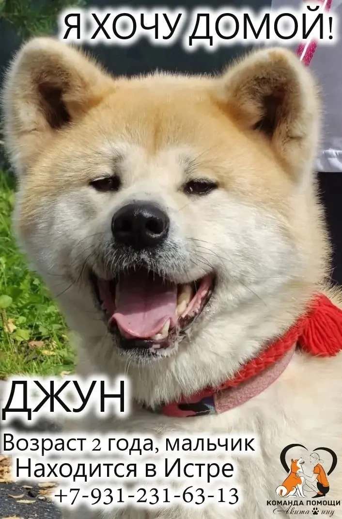 Друзья !