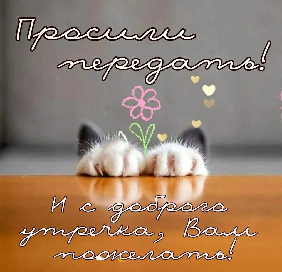 🌸