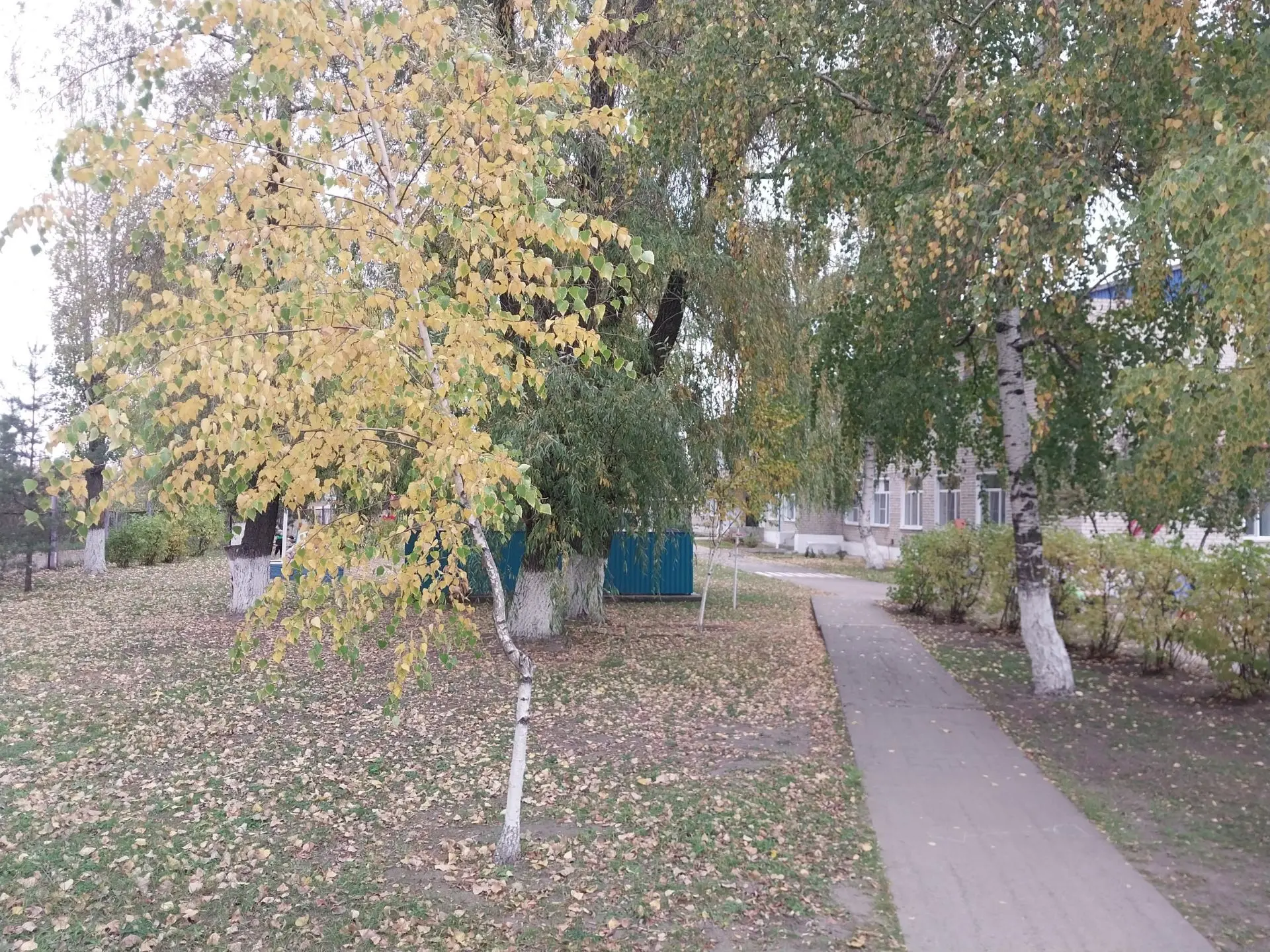 🍁 Осеннее волшебство в нашем детском саду! 🍁