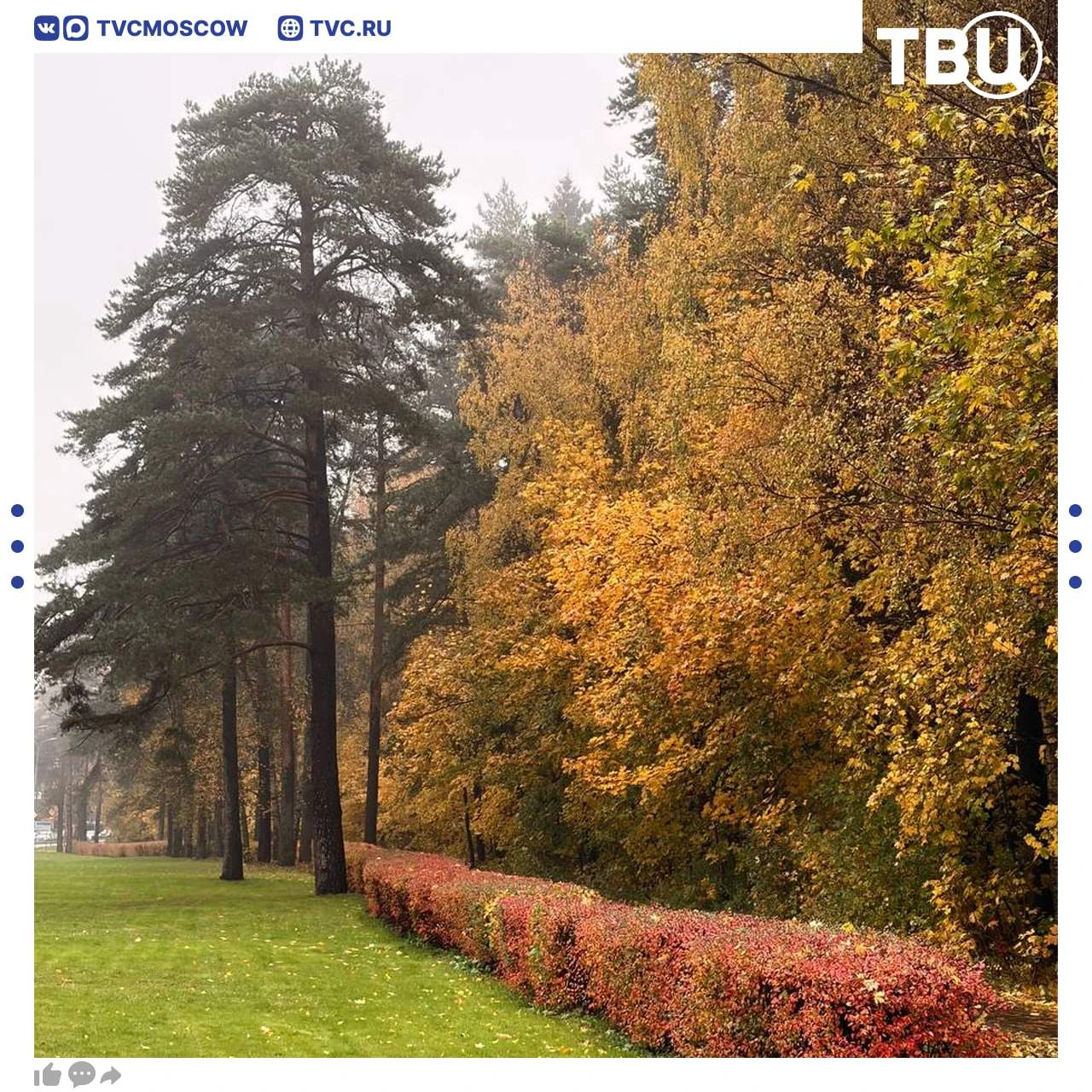 😍 Кинематографичный туман опустился в Зеленограде
