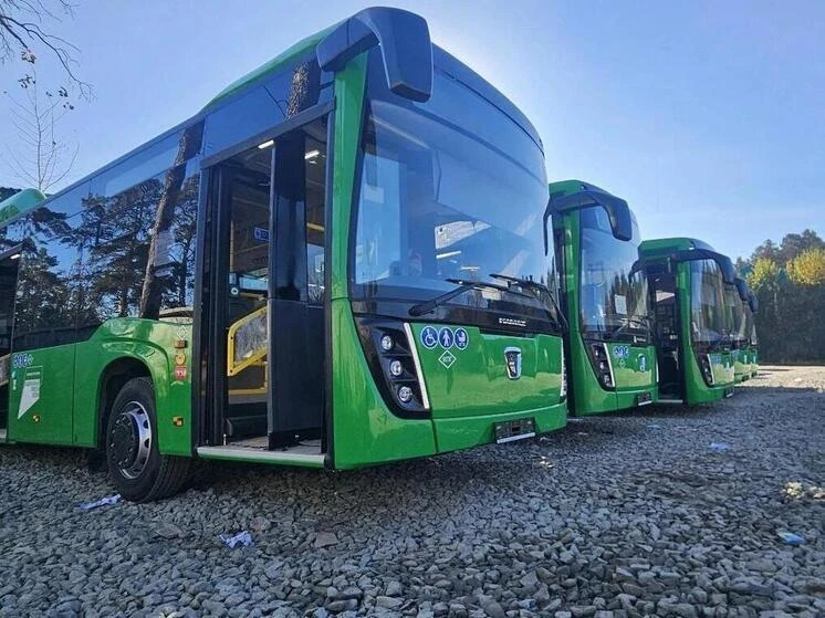 🚌 В Тюменской области на маршруты выходят новые автобусы.