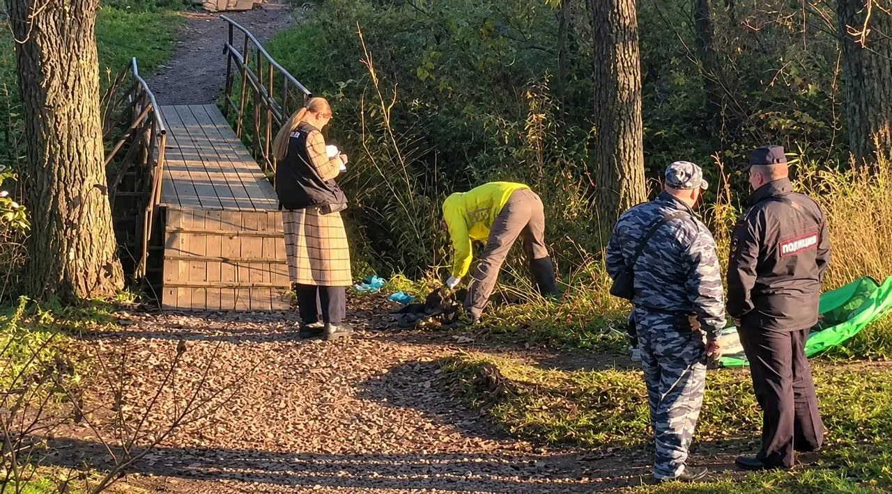 В Петербурге обнаружили расчлененное тело, разложенное по сумкам