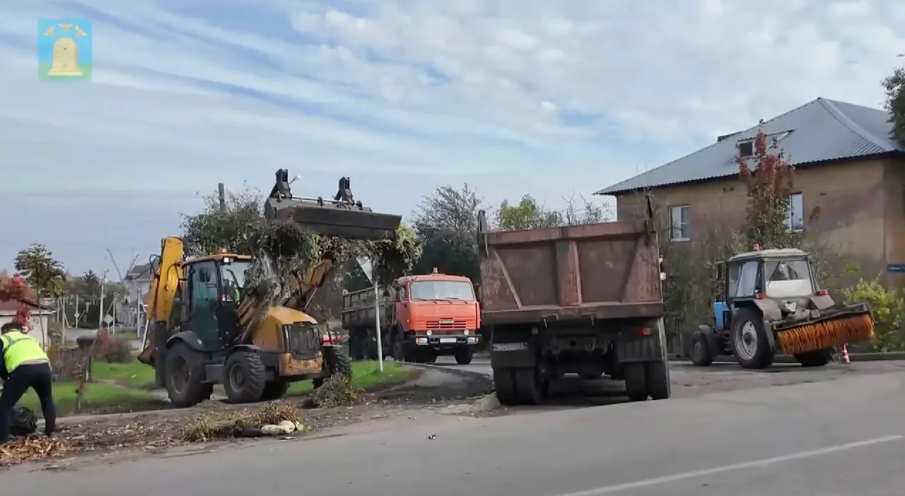 🍂 В Тамбове организован вывоз веток и листвы по специальному графику