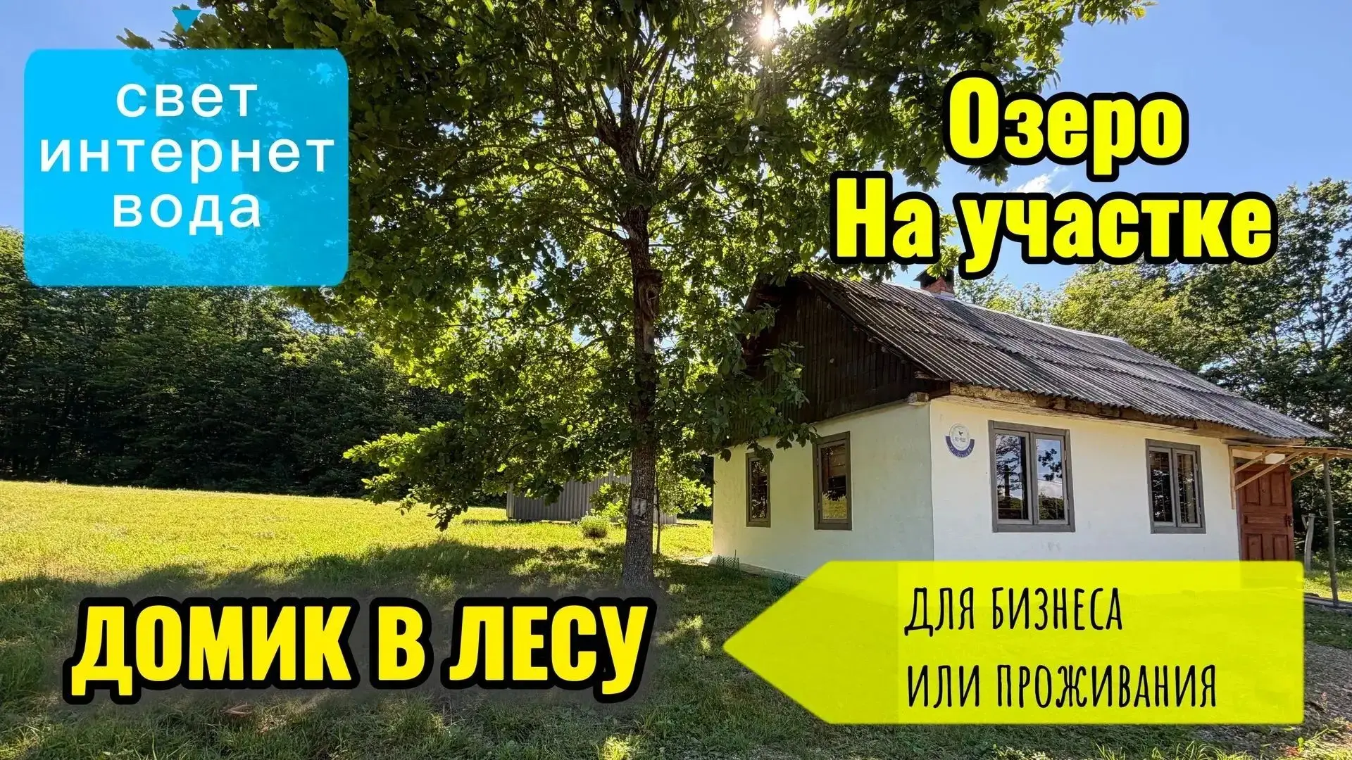 🏞 Домик в лесу