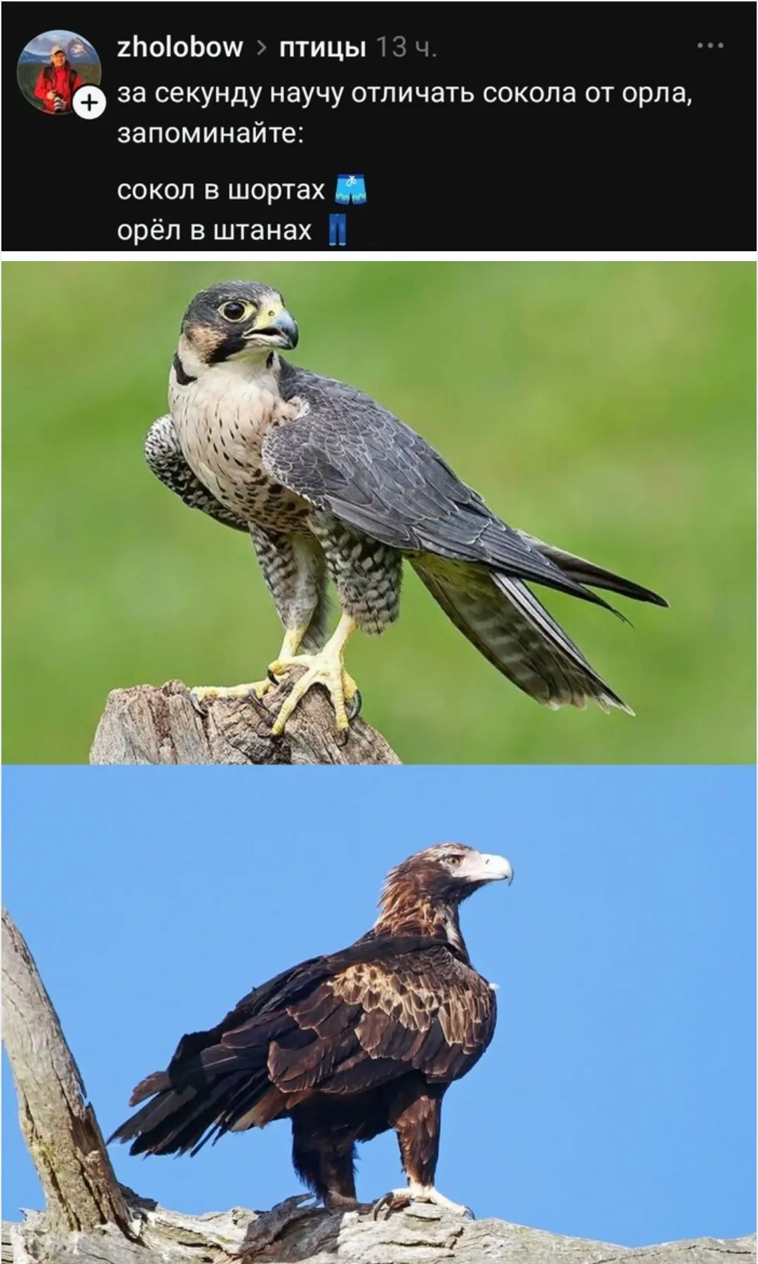 Фото