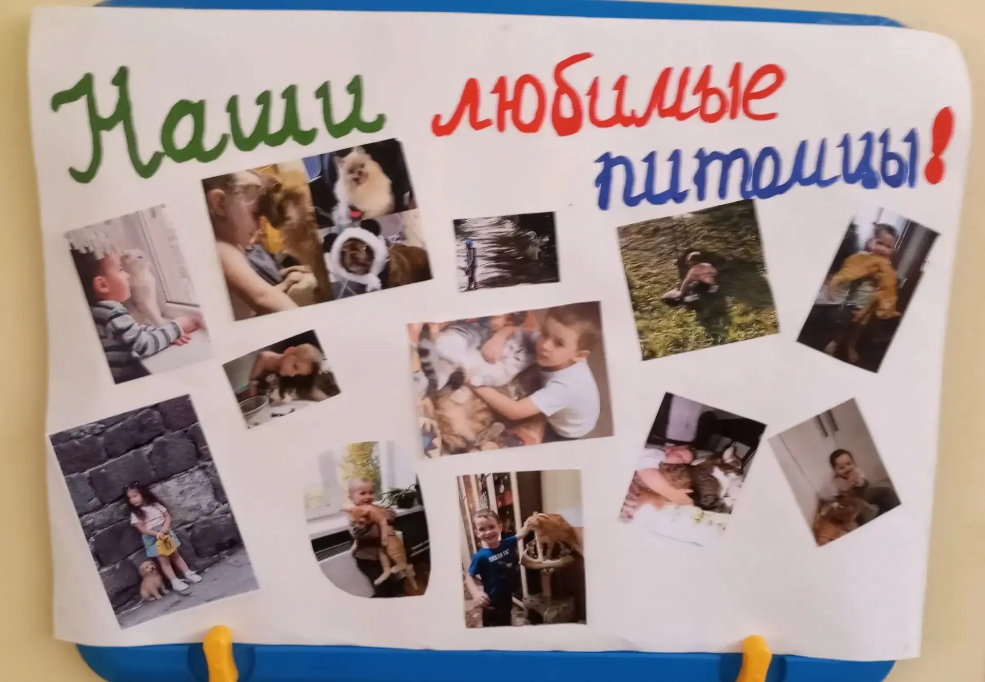 🐾 Новости наших дошколят: Как мы изучали домашних животных!