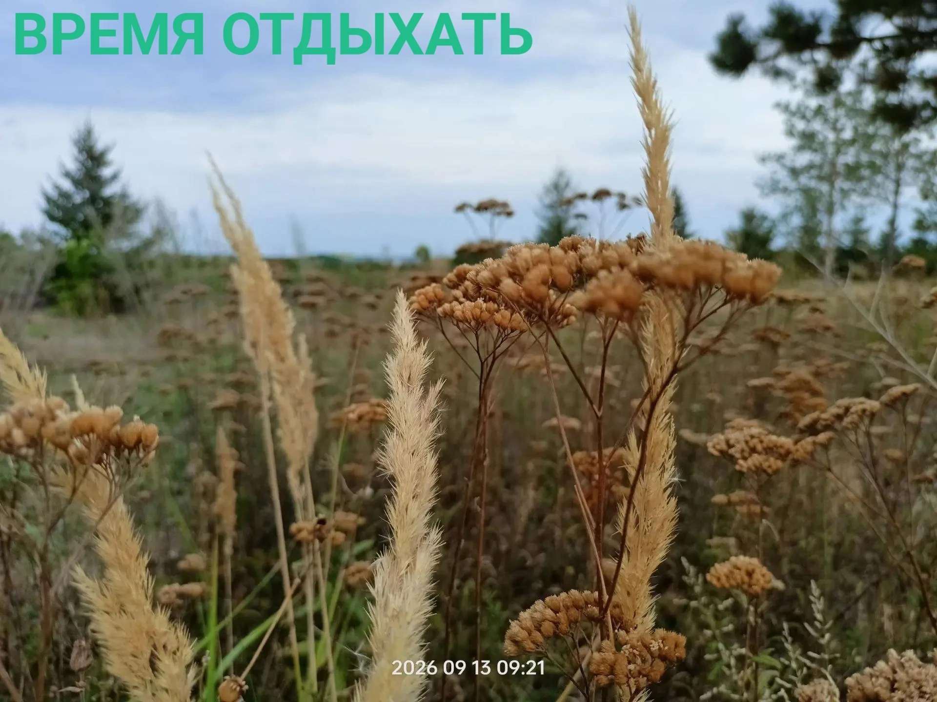 🌺С ДОБРЫМ УТРОМ!
