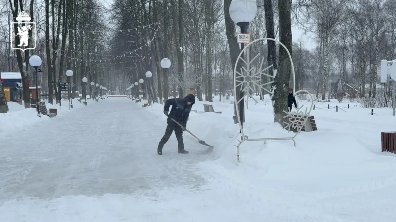 Парки Ярославля готовят к зиме