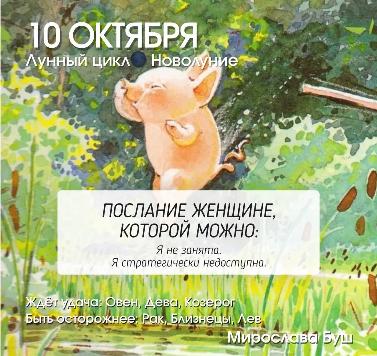 10 октября РЕКОМЕНДАЦИИ 🔥