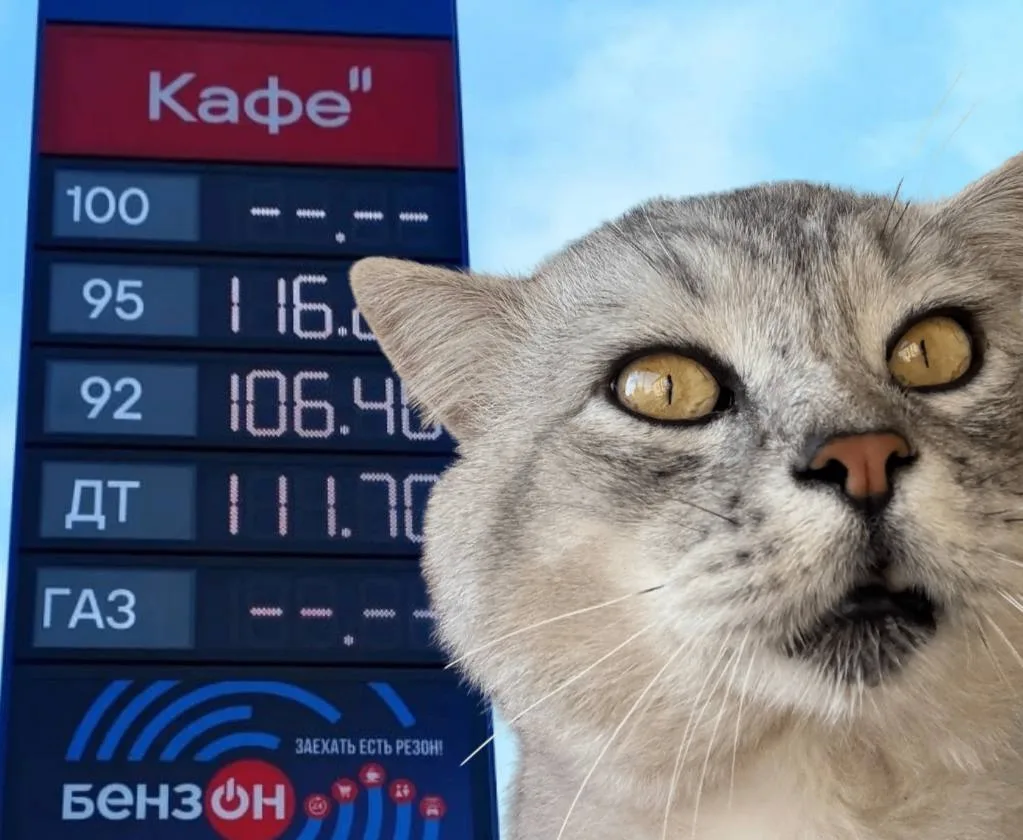 ⛽️ Цены на бензин в ЛНР планируют снижать и дальше