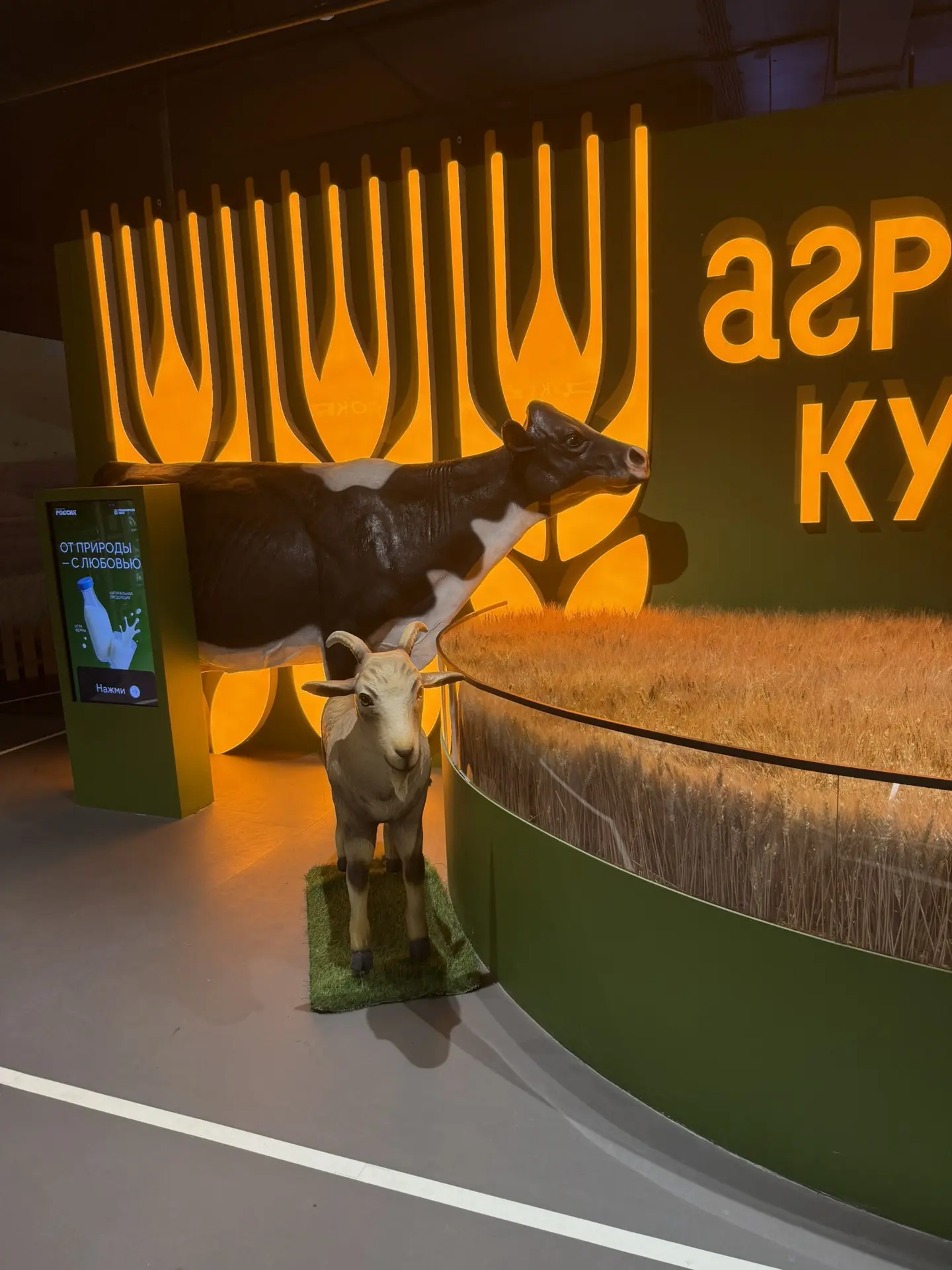 Доброе утро! ☕️