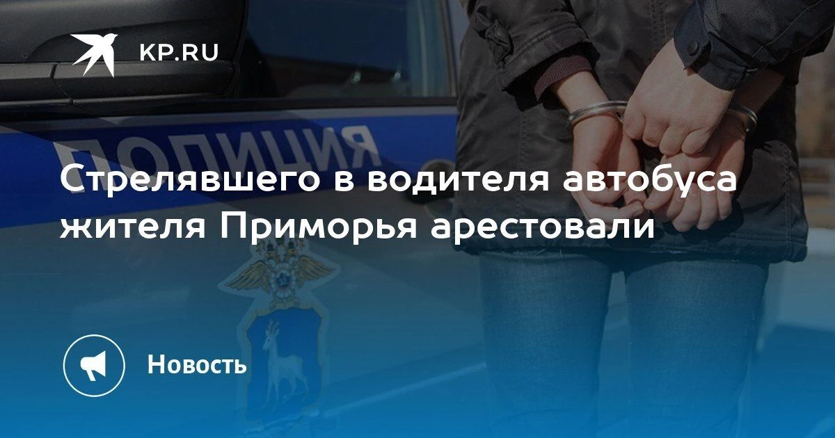 Стрелял в водителя автобуса: жителя Приморья арестовали