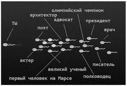 Соберись и не подведи!