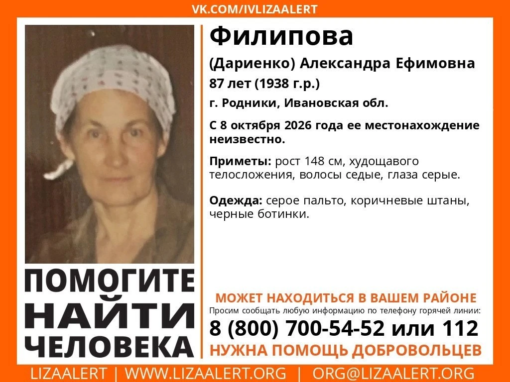 Внимание, поиск!