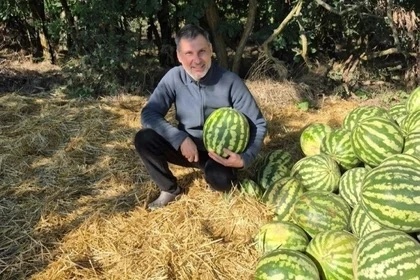 🍉🏆Фермер из Белой Калитвы Александр Карапетов взял две награды на «Агробатл‑2026»: ку...
