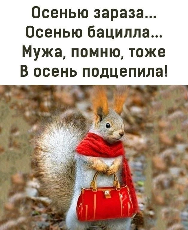 ❣️Открытка на связи