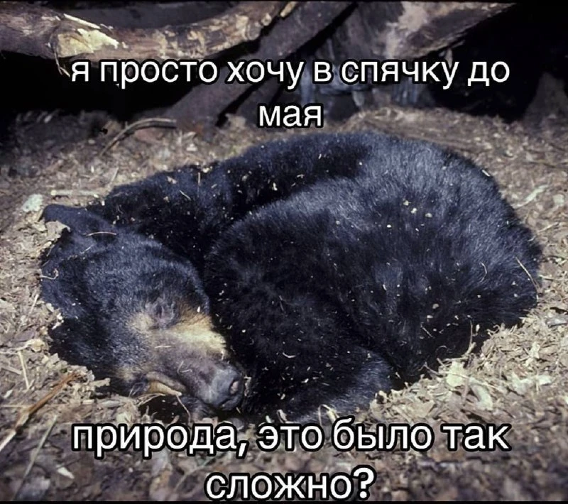 ну реально блин