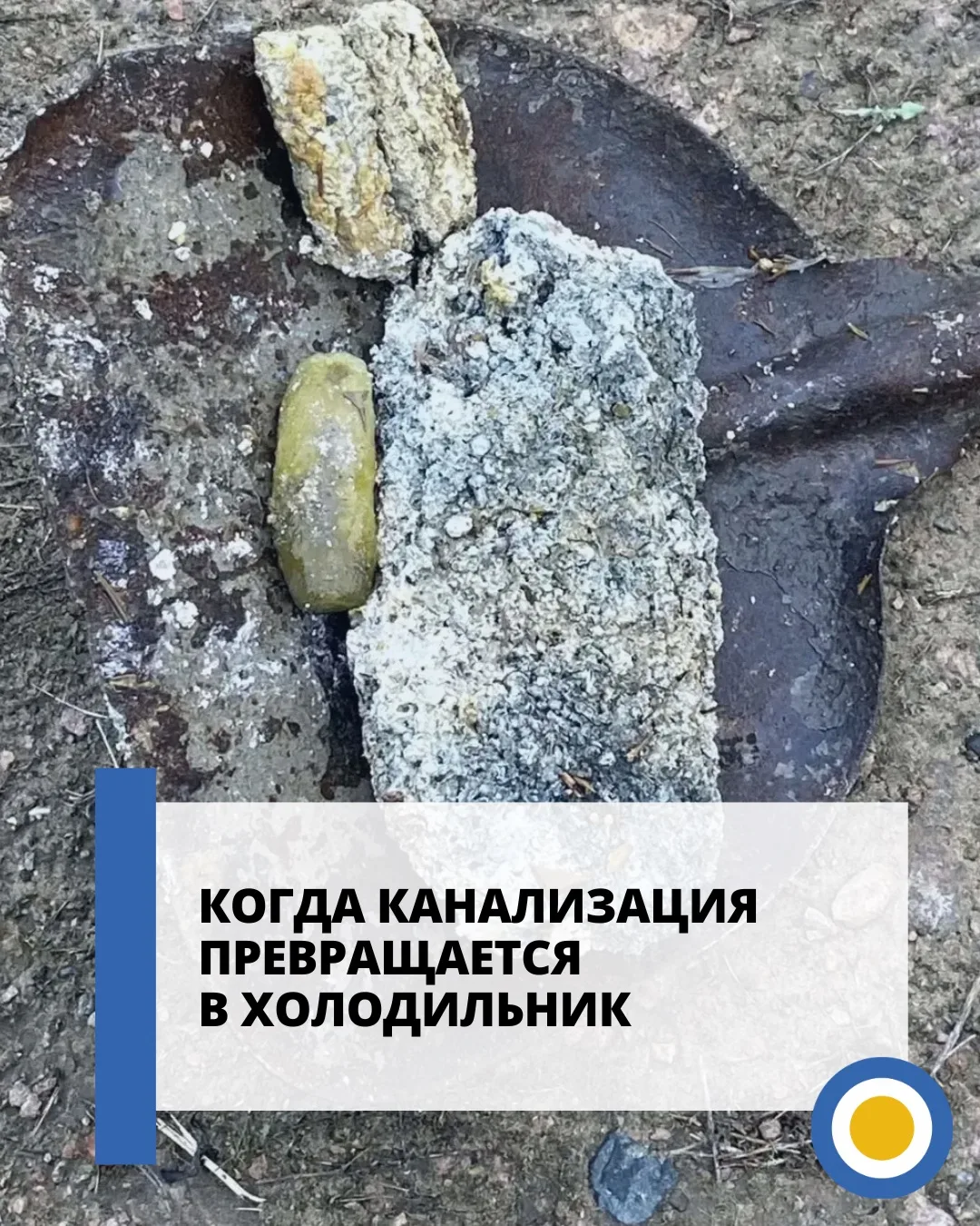 🤭 Солёный огурчик и жирберг: что находят в канализации