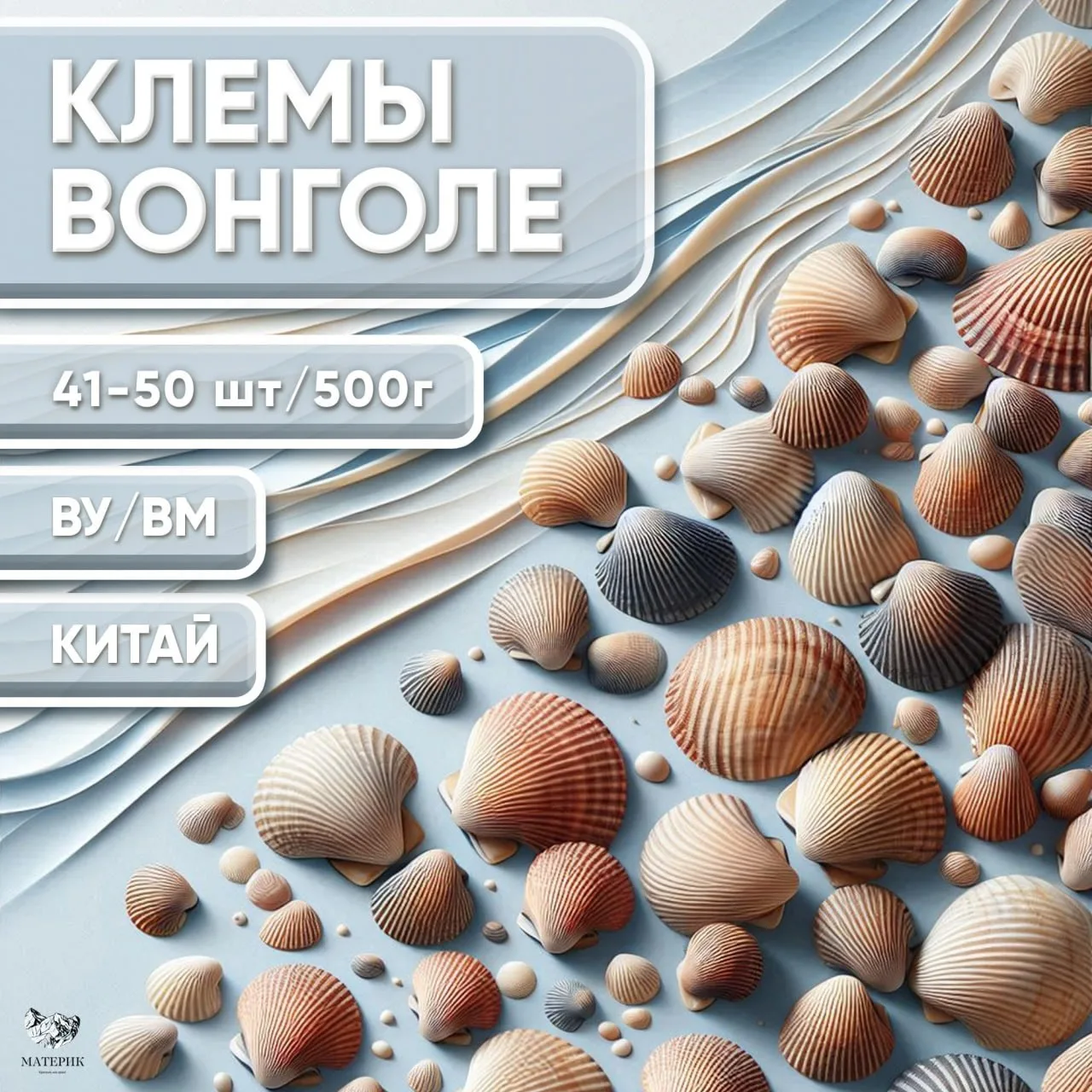 🌊ВОНГОЛЕ – МАЛЕНЬКИЙ, ВКУСНЫЙ И ПОЛЕЗНЫЙ!