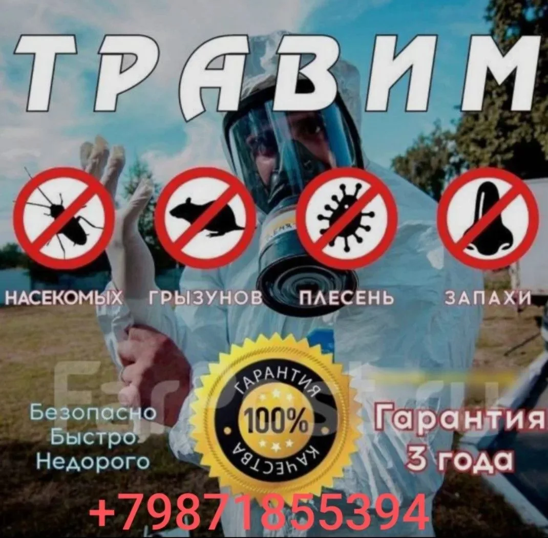 Реклама. ИП Хакимова Л.Р. ИНН 164306869501 erid 2VtzqwcKLsf