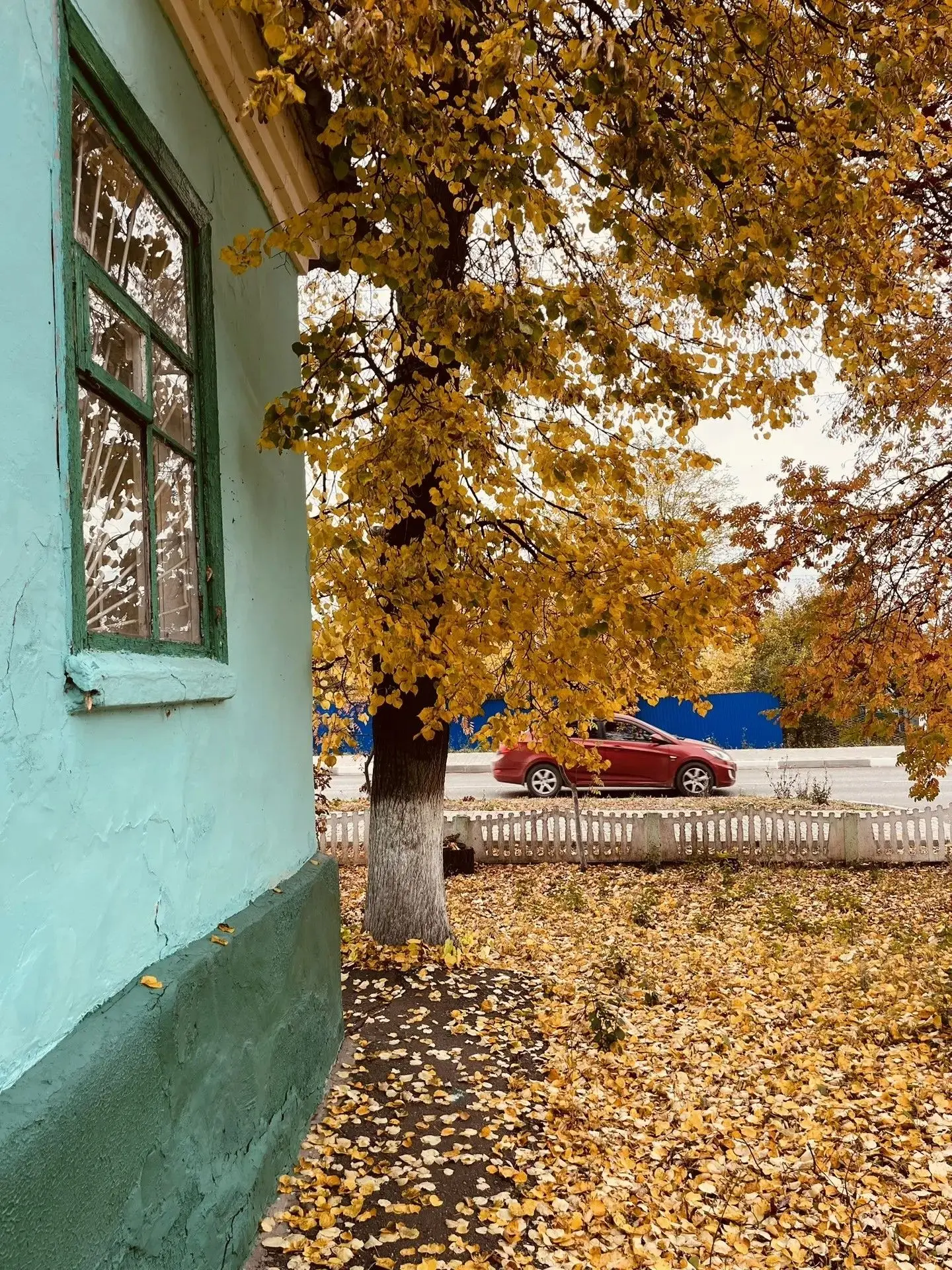 Октябрьские краски у редакции «Сельских зорь» 🍁