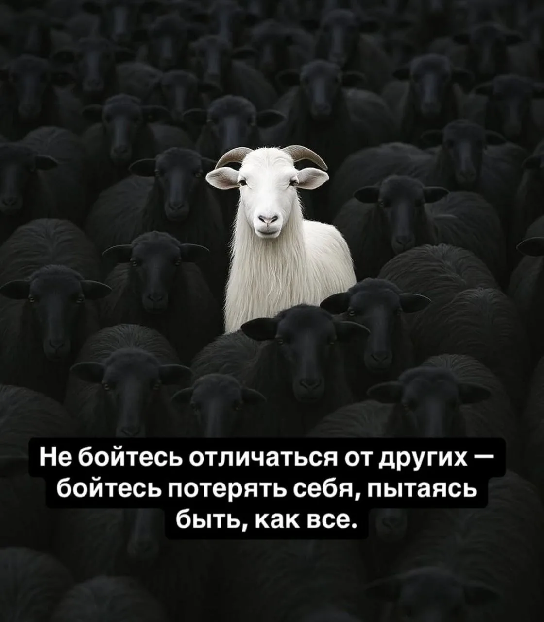 #Цитаты #Мудрость