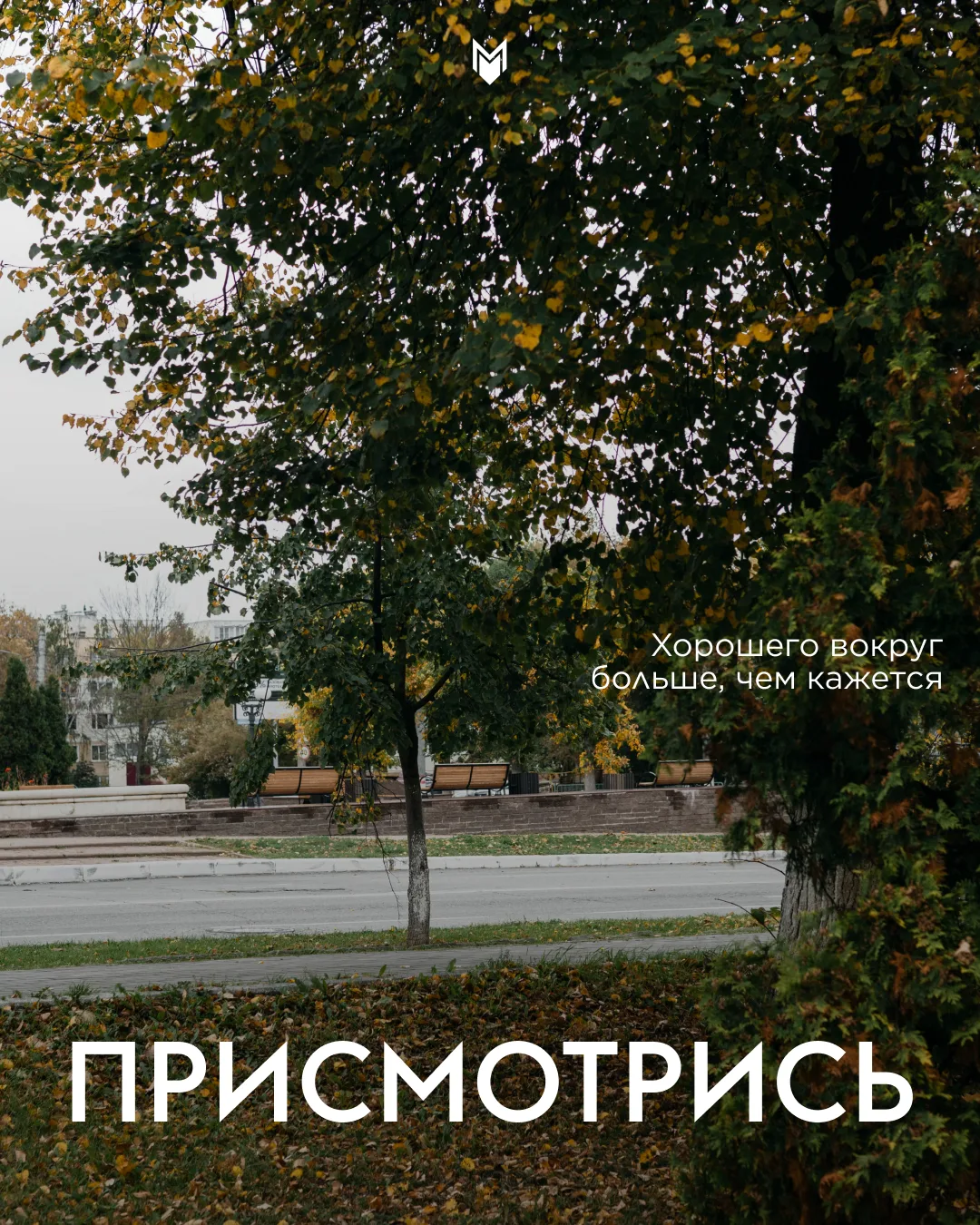 Доброе утро! 🤍