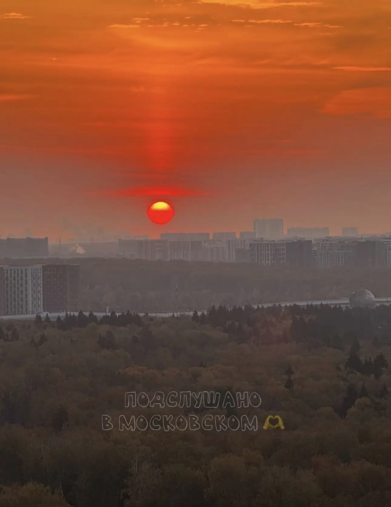 🌅Доброе утро, друзья!