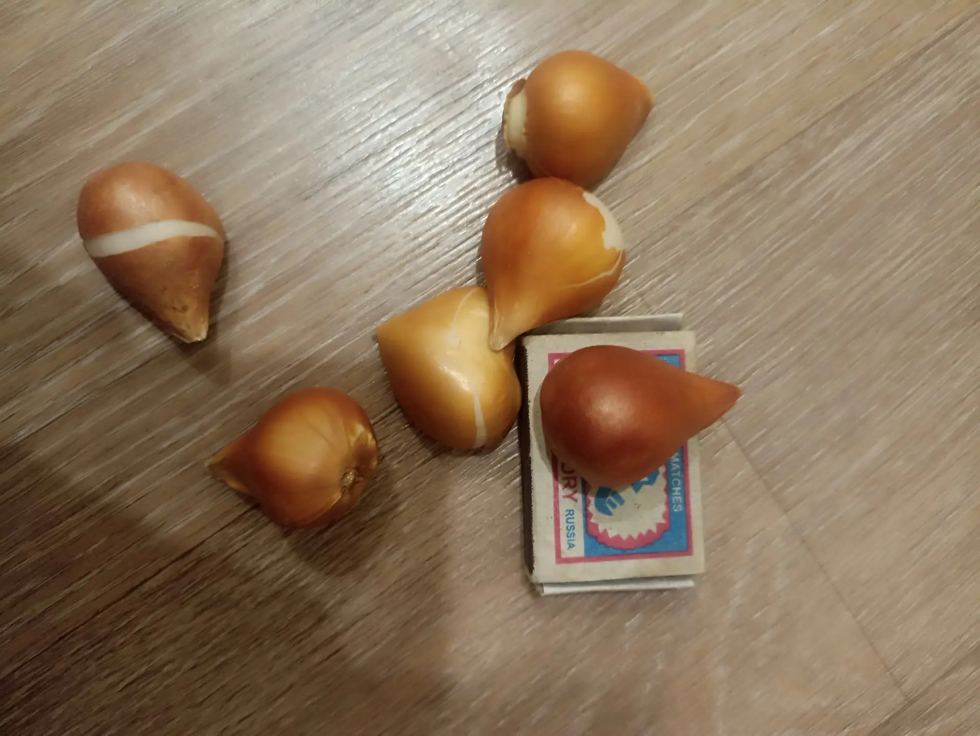 Продам излишки растений! Донецк Будённовский/Пролетарский район. Самовывоз. Луковицы тю...