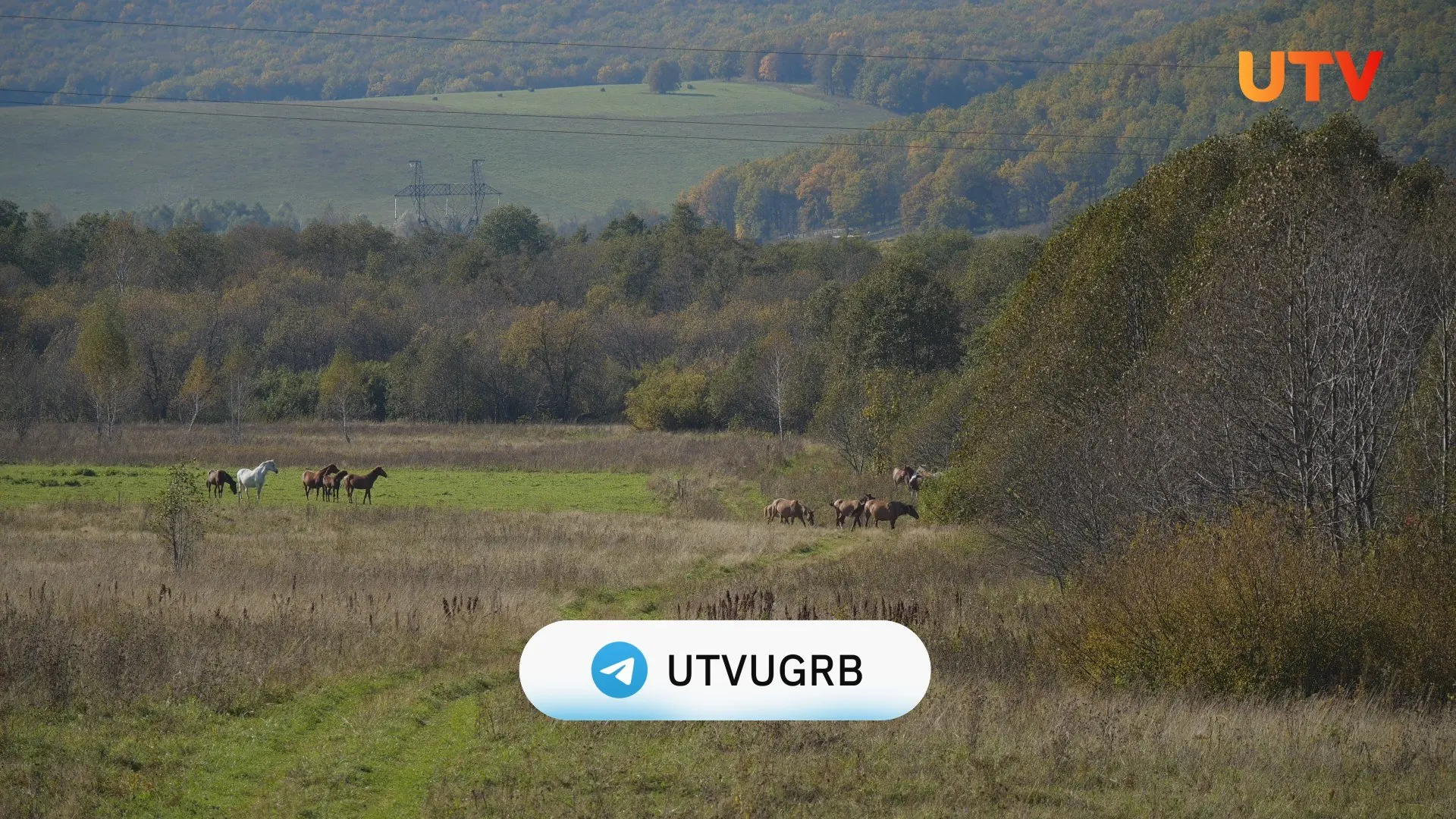 💙🤍💚 Впереди — три выходных дня