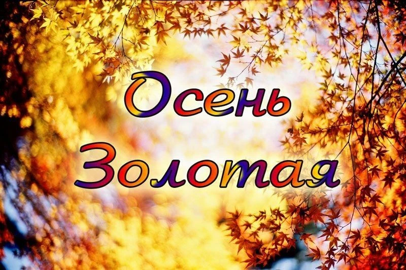«Осень золотая» в гостях у «Орлят России».