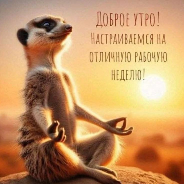 Доброе утро мои хорошие! ☕🥐
