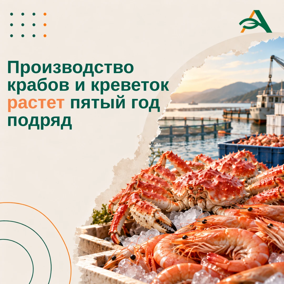 📈 Крабы и креветки показывают стабильный прирост производства