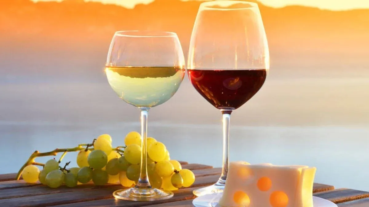 🍷 Вино: не только удовольствие, но и здоровье!