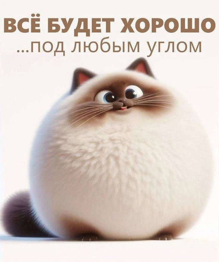 @pozdraf