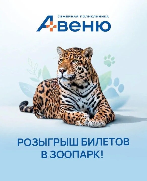 🎁 Клиника АВЕНЮ разыгрывает билет в зоопарк на четверых!