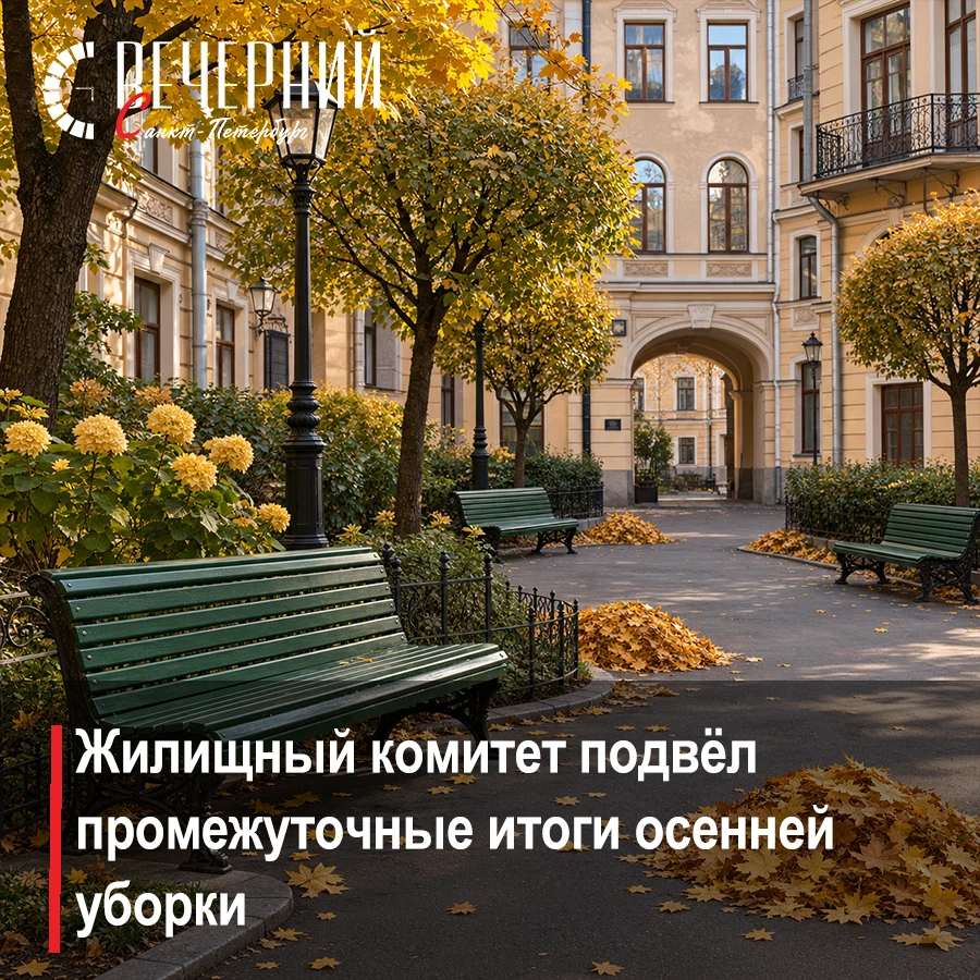 🧹 Промежуточные итоги месячника благоустройства