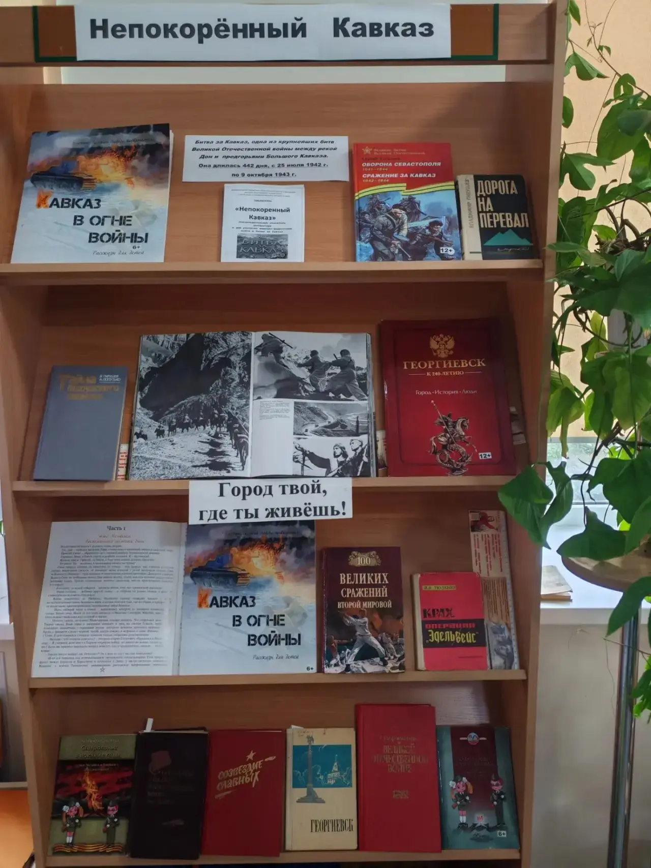 📚 «Непокорённый Кавказ»