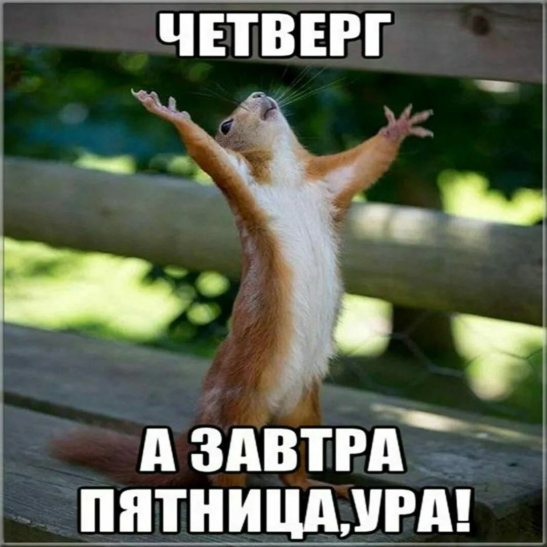 Подписаться на Привет Пипл!