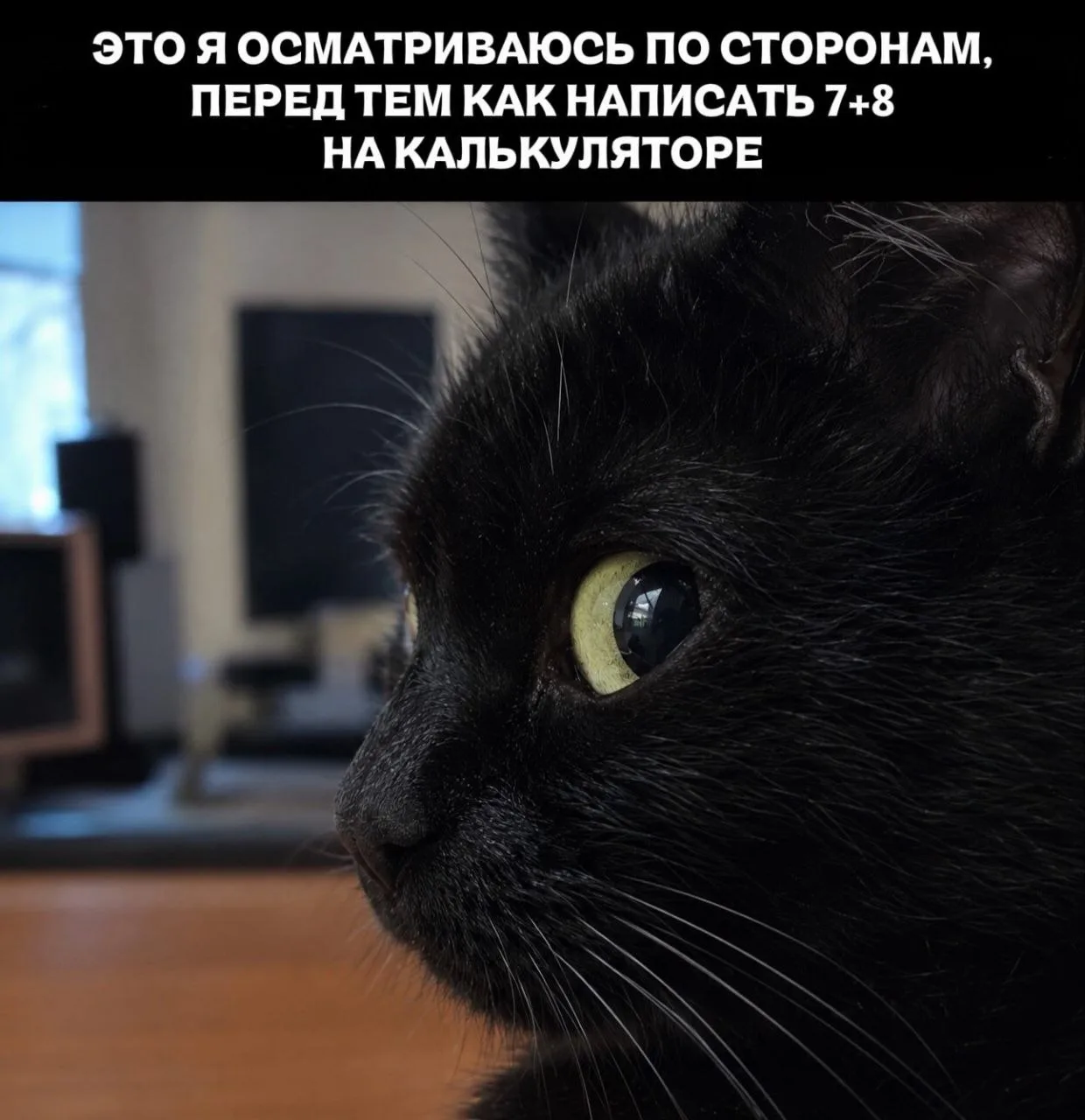 База