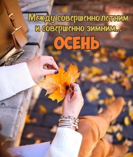 🍂🍂🍂