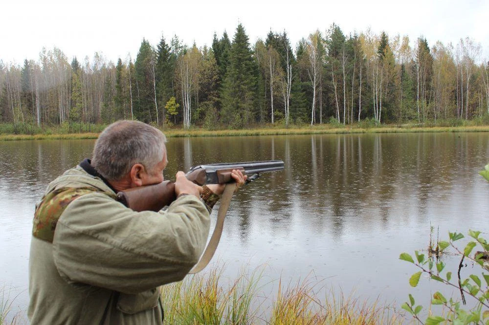Нижегородцам обновят выдачу бланков на охотресурсы.