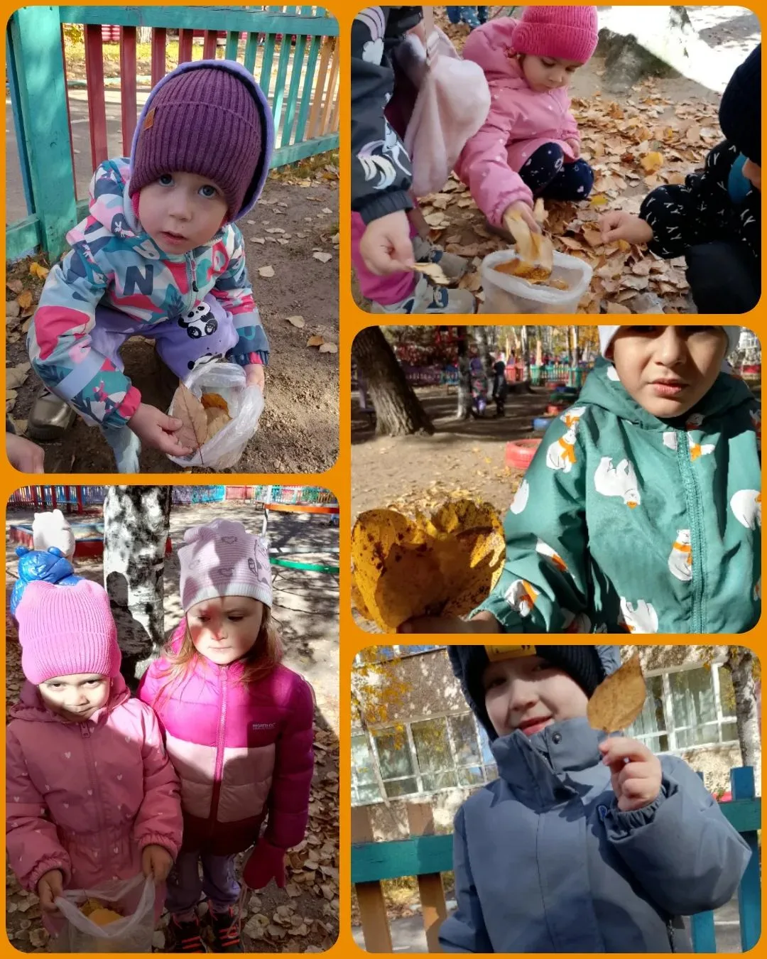Сбор природного материала🍁 — это полезное занятие, которое развивает мелкую моторику, ...