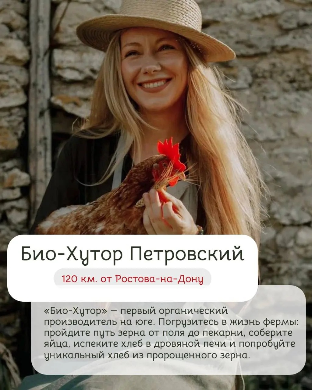 Все на завод и ферму! Экскурсии на предприятия Ростовской области 🏗️