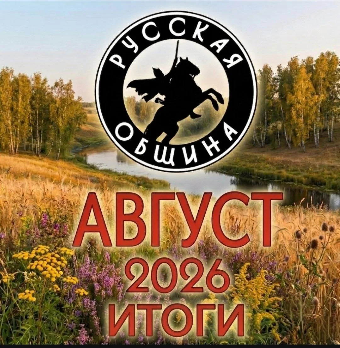 Что мы сделали за лето: отчёт «Доброграда» за июнь–август