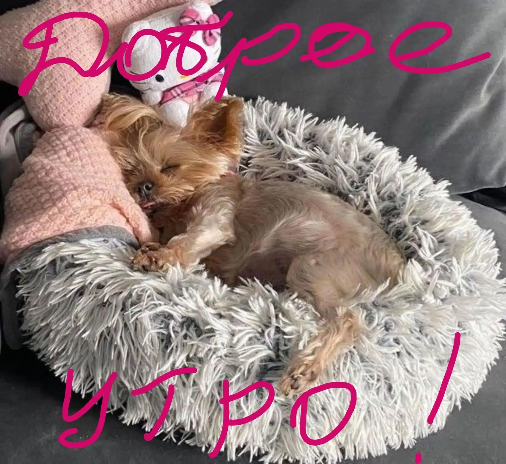 Доброе утро!