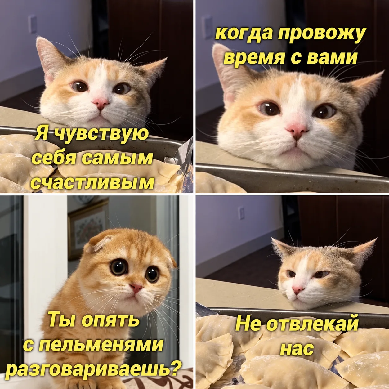 Смысл жизни ближе, чем кажется