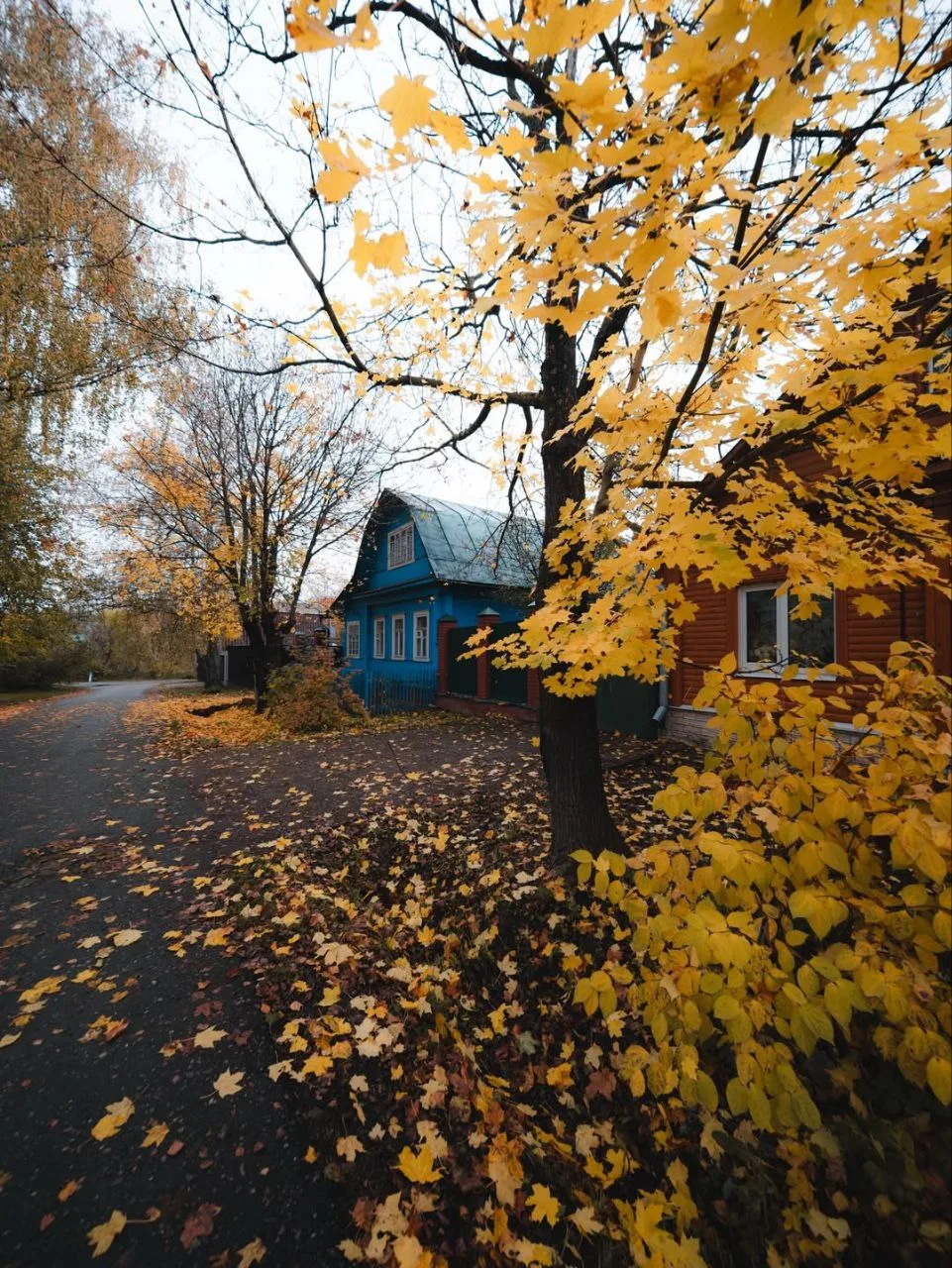 Осень в Сергиевом Посаде😍